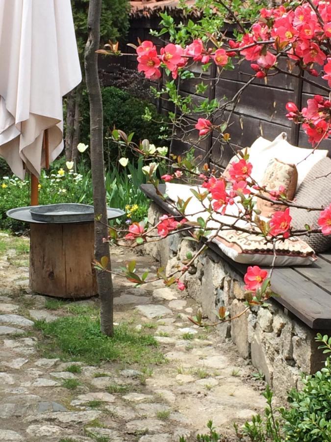 Darina Guest House Kopriwschtiza Exterior foto